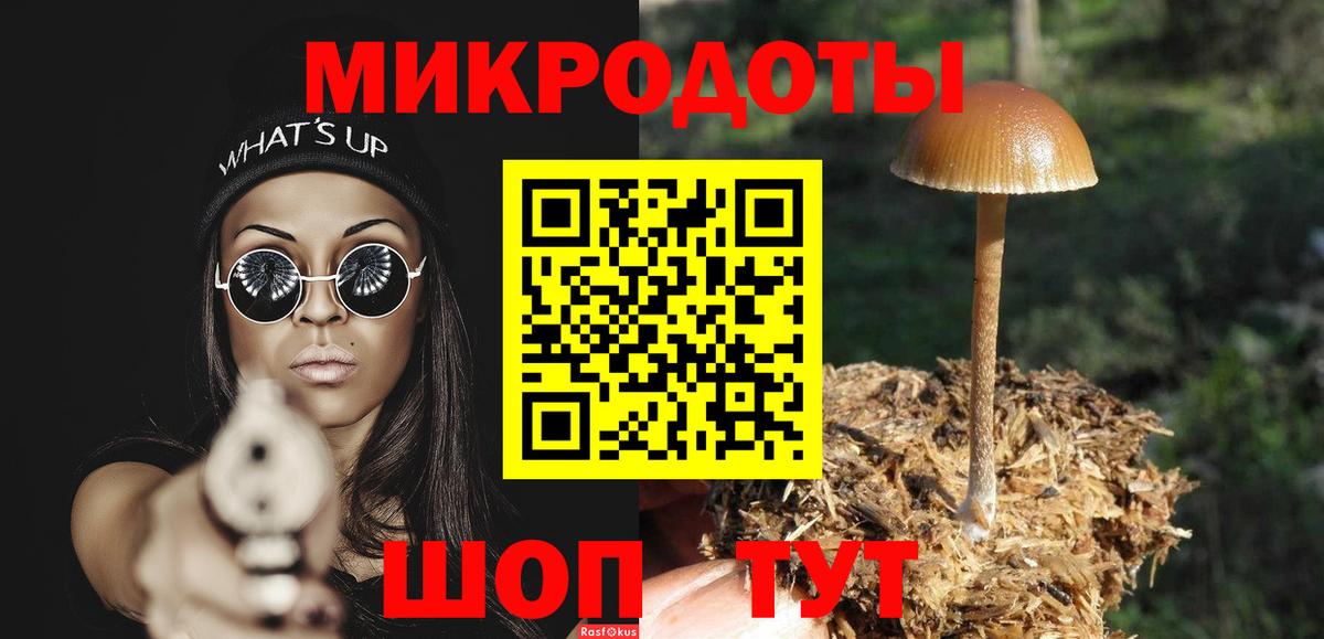 Галлюциногенные грибы MAGIC MUSHROOMS Владимир