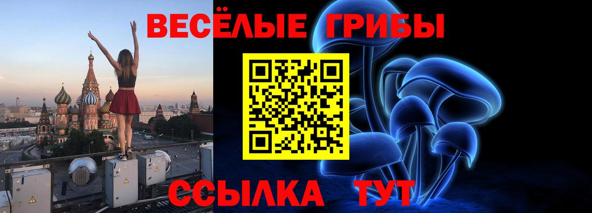 цены наркотик  Галлюциногенные грибы ЛСД  Вход с VPN  Владимир 